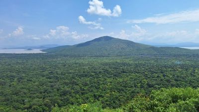 6 Days Addis Ababa & Southern Ethiopia Overland Tour - Image - 11826